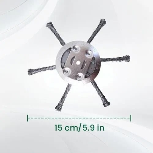 https://minio.lattehub.com/img/1024/0/resize/6108e532db1c052bf287acea/2025/06/27/image-685e9cd3a7119784c2548d3e.jpg