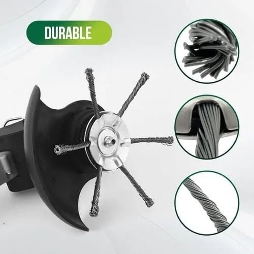 https://minio.lattehub.com/img/1024/0/resize/6108e532db1c052bf287acea/2025/06/27/image-685e9cd3d30a92b350ac5b6c.jpg