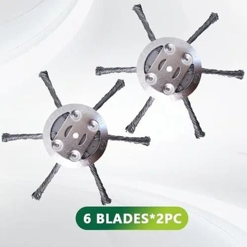 https://minio.lattehub.com/img/1024/0/resize/6108e532db1c052bf287acea/2025/06/27/image-685e9cd3f49dab4d461261c2.jpg